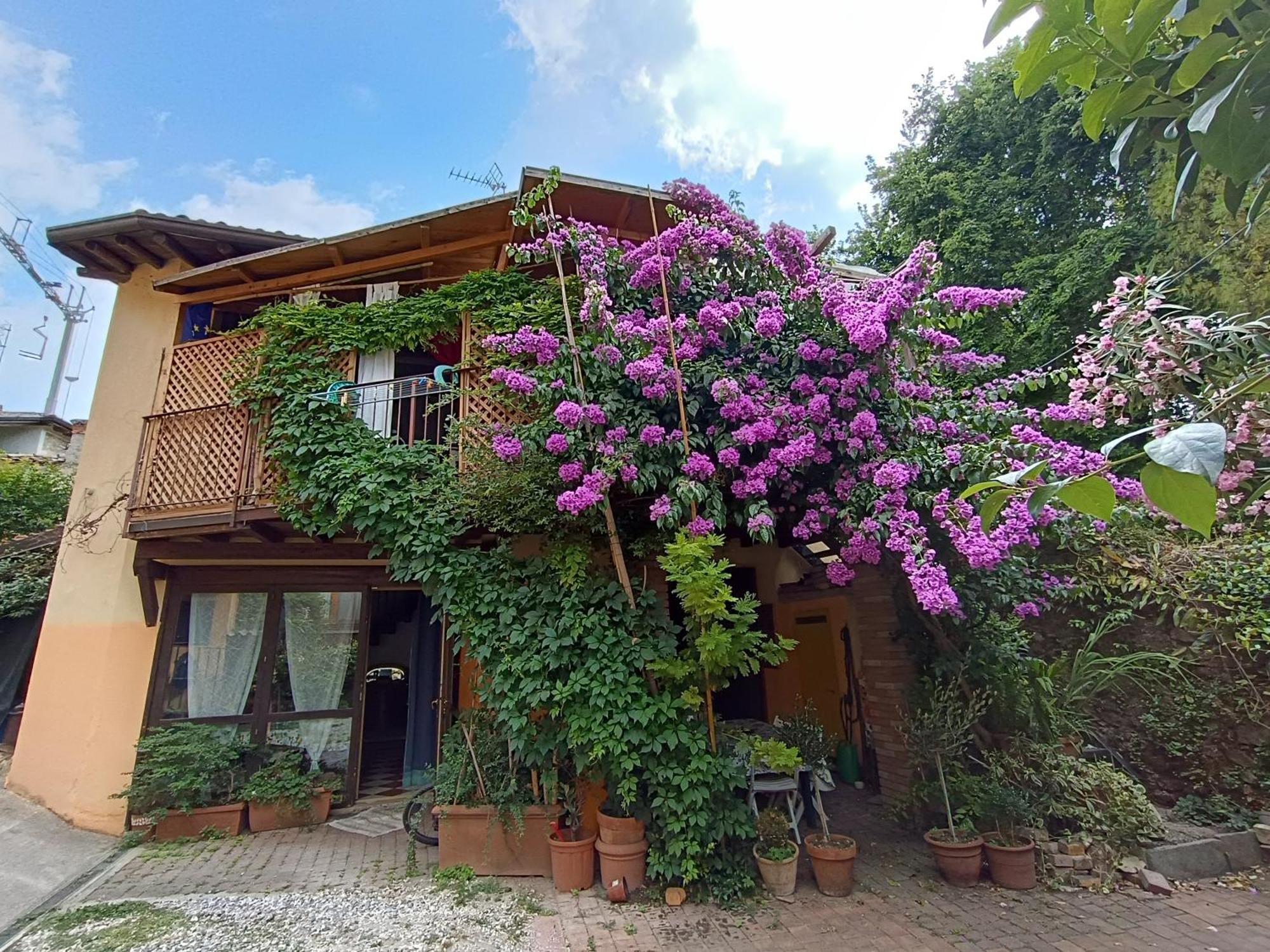 Manerba Giardino 2 Bici Apartment